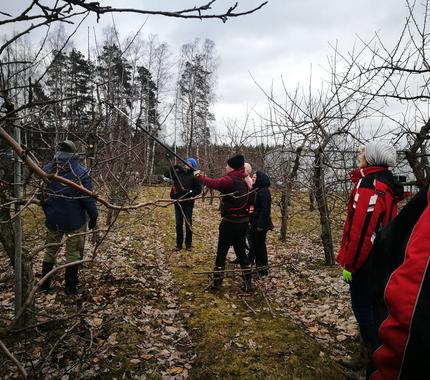 Ražotāju organizācija
